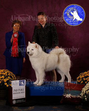 SCA2023_B_AWARD_6227