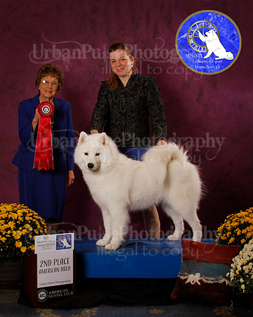 SCA2023_B_AWARD_6228