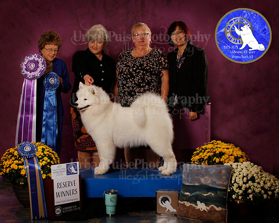 SCA2023_B_AWARD_6077