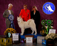 SCA2023_BOB_AWARD_6387