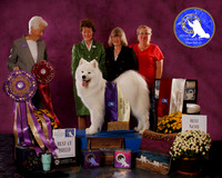 SCA 2023 BEST OF BREED AWARDS
