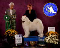 SCA2023_BOB_AWARD_6410
