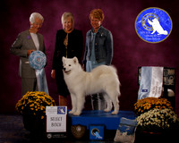 SCA2023_BOB_AWARD_6402