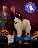 SCA2023_BOB_AWARD_6422