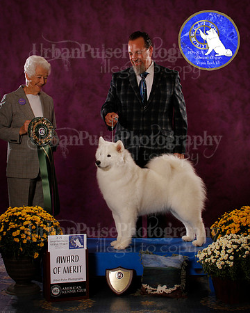 SCA2023_BOB_AWARD_6425