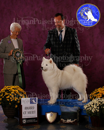 SCA2023_BOB_AWARD_6427