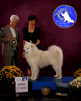 SCA2023_BOB_AWARD_6456