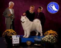 SCA2023_BOB_AWARD_6465