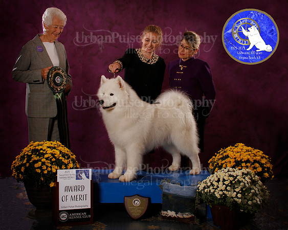 SCA2023_BOB_AWARD_6465