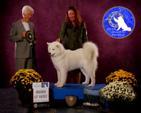 SCA2023_BOB_AWARD_6468