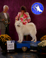 SCA2023_BOB_AWARD_6478