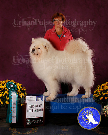 SCA2023_PARADE OF TITLE HOLDER_AWARD_6306