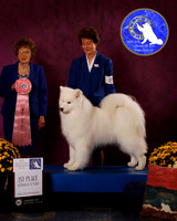 SCA2023_B_AWARD_6123_30