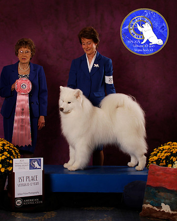SCA2023_B_AWARD_6123_30