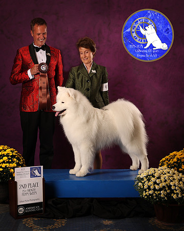SCA2023_P SWPS_AWARD_1486_10