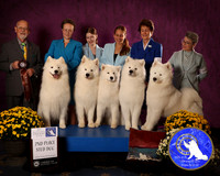 SCA2023_D_AWARD_6065_40