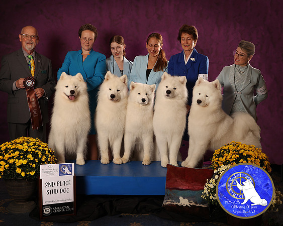 SCA2023_D_AWARD_6065_40