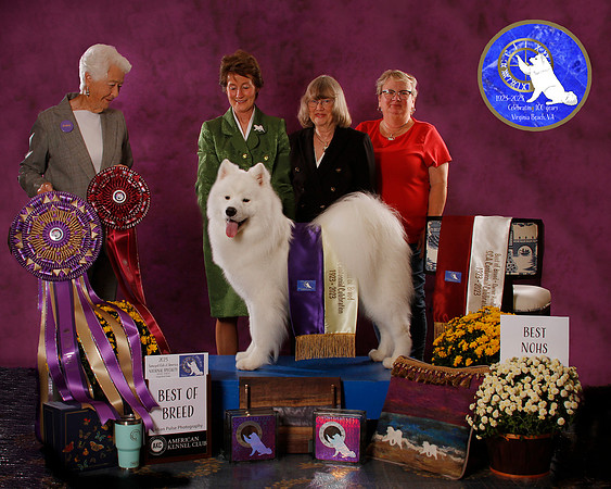 SCA2023_BOB_AWARD_6383_50