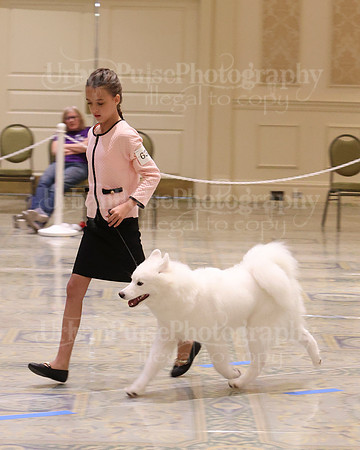 SCA2023_FUT_B9-12-0978