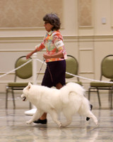 SCA2023_FUT_B12-15-1102