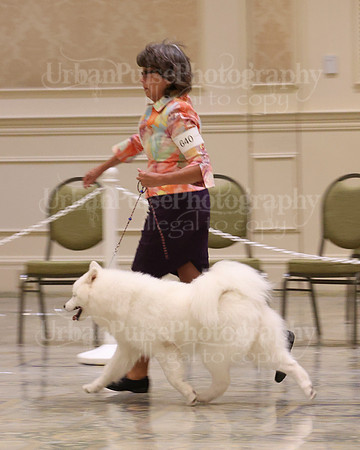SCA2023_FUT_B12-15-1102