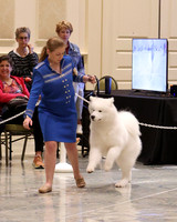 SCA2023_P SWPS_D6-9-8827