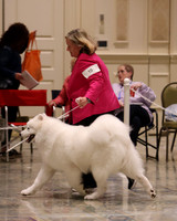 SCA2023_P SWPS_D6-9-8819