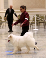 SCA2023_P SWPS_D6-9-8841
