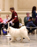 SCA2023_P SWPS_D6-9-8847