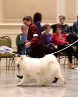 SCA2023_P SWPS_D6-9-8846