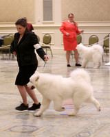 SCA2023_P SWPS_D6-9-8883