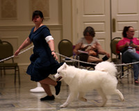 SCA2023_P SWPS_D9-12-8954