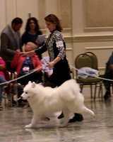 SCA2023_P SWPS_D9-12-8949