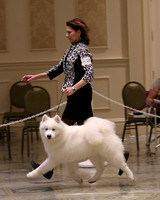 SCA2023_P SWPS_D9-12-8952