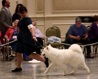 SCA2023_P SWPS_D9-12-8953