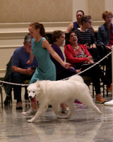 SCA2023_P SWPS_D9-12-8961