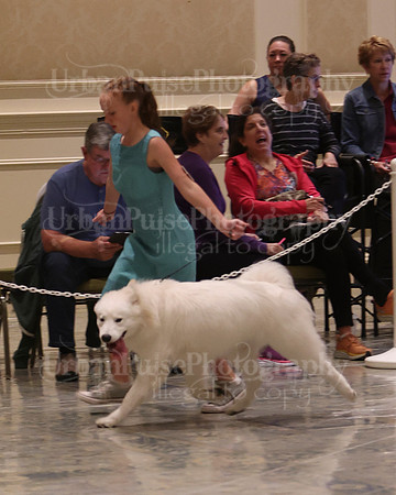 SCA2023_P SWPS_D9-12-8961