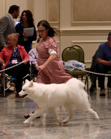 SCA2023_P SWPS_D9-12-8957