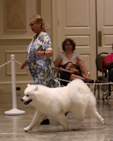 SCA2023_P SWPS_D9-12-8969