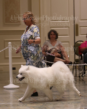 SCA2023_P SWPS_D9-12-8969