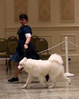 SCA2023_P SWPS_D9-12-8975