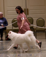 SCA2023_P SWPS_D9-12-8983