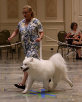 SCA2023_P SWPS_D9-12-8986