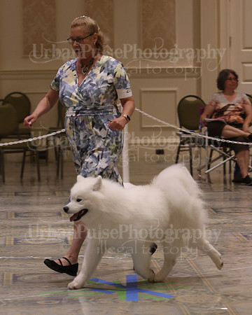 SCA2023_P SWPS_D9-12-8986