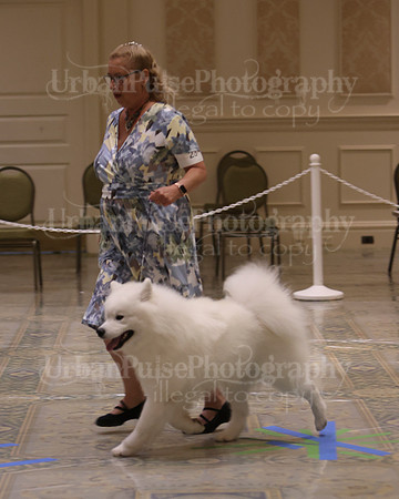 SCA2023_P SWPS_D9-12-8987