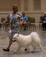 SCA2023_P SWPS_D9-12-8990