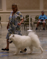 SCA2023_P SWPS_D9-12-8991