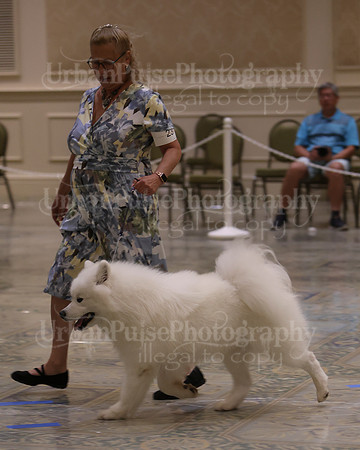 SCA2023_P SWPS_D9-12-8991