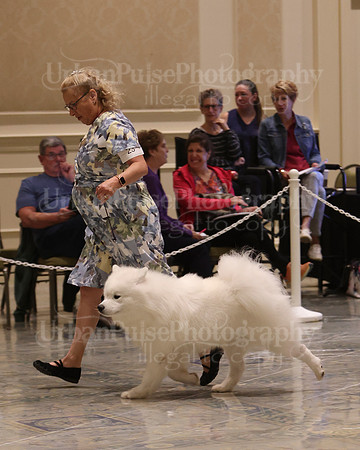 SCA2023_P SWPS_D9-12-9004