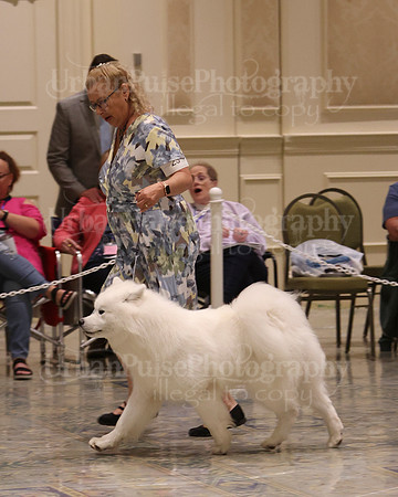 SCA2023_P SWPS_D9-12-9006